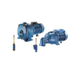 Самовсмоктуючий відцентровий насос Pentax AP 100