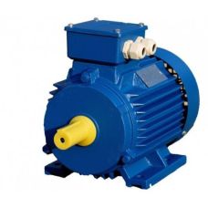 Електродвигун асинхронний АМУ200L6 30 кВт 1000 об / хв